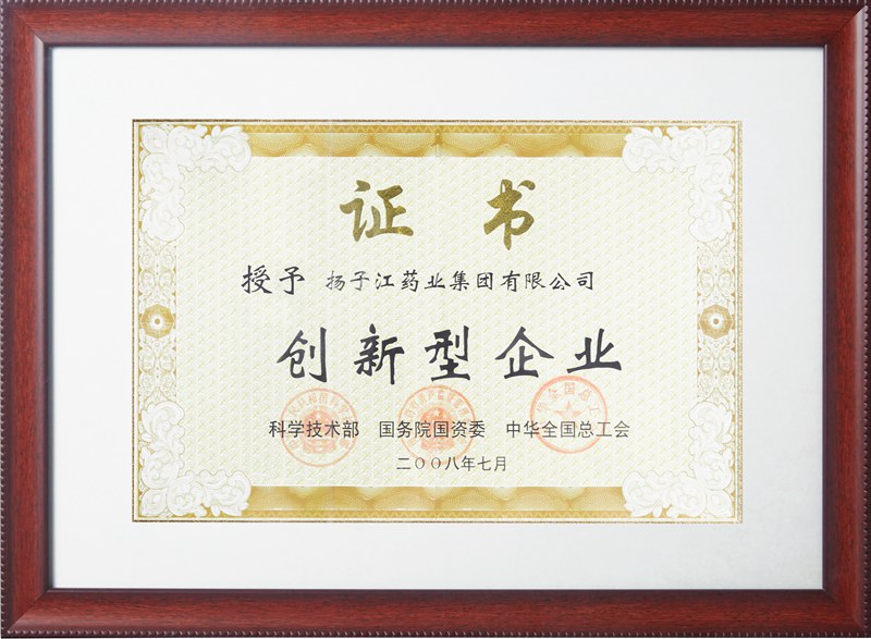 創(chuàng)新型企業(yè)（2008）